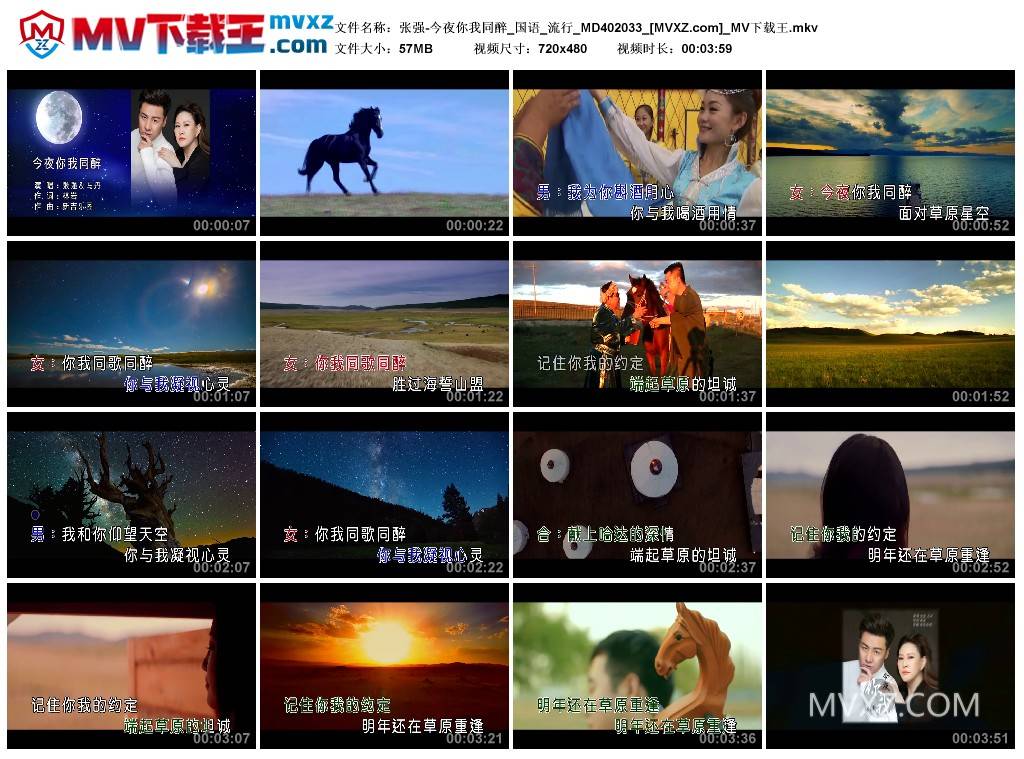张强-今夜你我同醉_国语_流行_MD402033